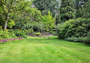 Optimiser l'expérience du jardin à Chatillon-le-Roi